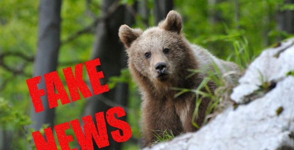 sopsr-hoax-medvede